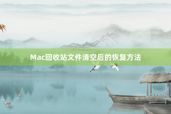 Mac回收站文件清空后的恢复方法